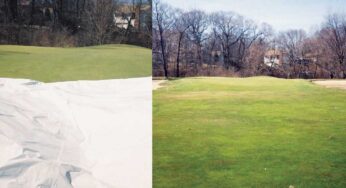 The Cold Hard Facts about Winter Damage to Your Golf Course