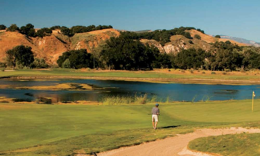 irrigation