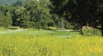 The Care and Feeding of Native Areas: Two Perspectives from Two Industry Veterans, Part 1