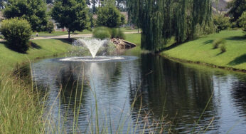 The Importance of Pond Aeration for Your Course