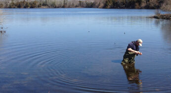 Sustainable Solutions to Avoid Green Lakes