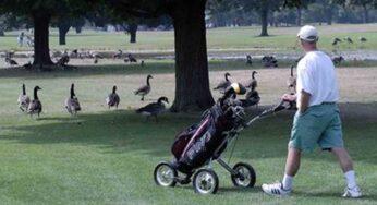 Eastern Hills Golf Course sale being explored by Kalamazoo city officials
