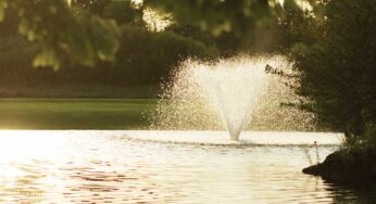Aerators: The Power of Oxygen