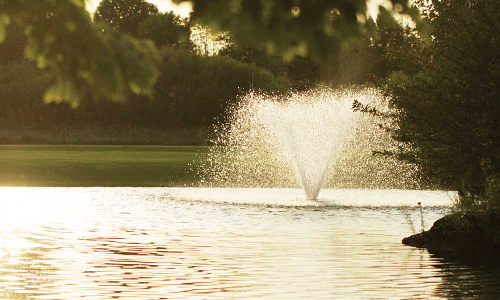 Aerators: The Power of Oxygen