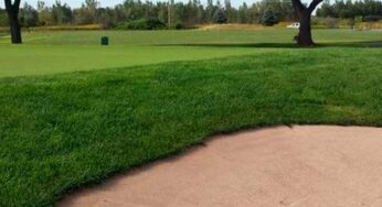 Renovated Driving Range at Springbrook Golf Course Now Open