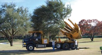 Fannin Tree Farm: Taking Care of Trees for Nearly 40 Years
