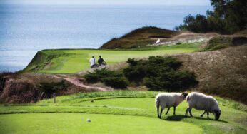 Whistling Straits Golf Course Destination Kohler