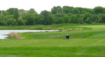 Charleston Springs Golf complex addresses wildlife & water
