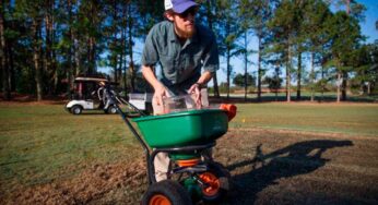 UF/IFAS Researcher Hopes to Bolster Pollinators, Reduce Water Use, Other Inputs on Golf Courses