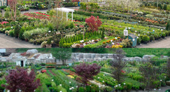 East Haven Landscape Products Joins Forces With SiteOne Landscape Supply