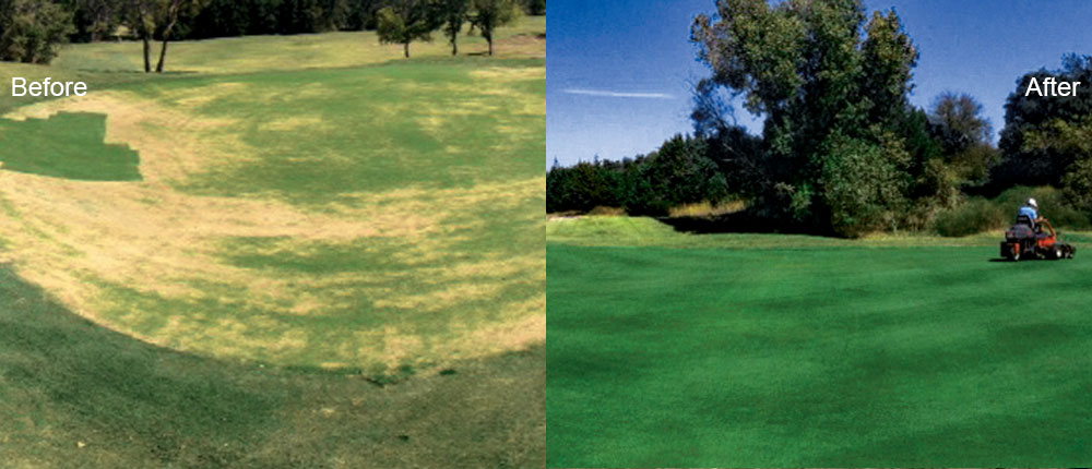Saving Golf from the Bottom of the Market