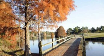 Crow Creek renovations will differ from the norm in Myrtle Beach golf market