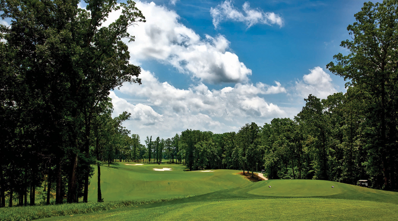 Healthy Turf Grass: At the Root of It All