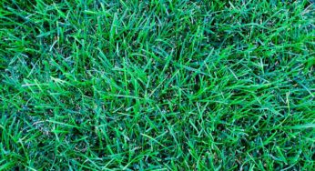 Anuvia Plant Nutrients Partners with Ewing Irrigation & Landscape Supply To Distribute GreenTRX