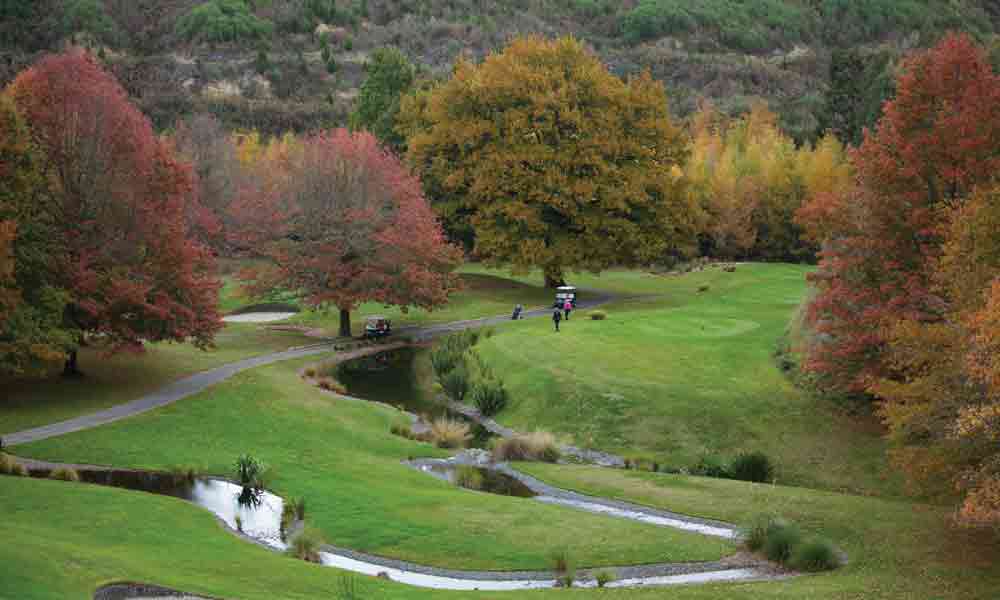 Part 1: Golf in the Land of Beauty (and Sheep)