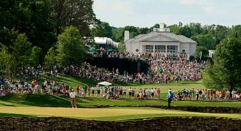 Creating the Win-Win When Trees and Turf Compete