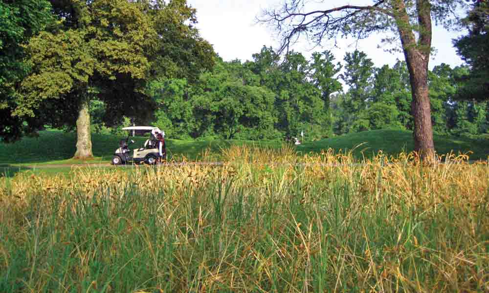 Ernst Conservation Seeds: Sowing the Seeds, Reaping the Harvest