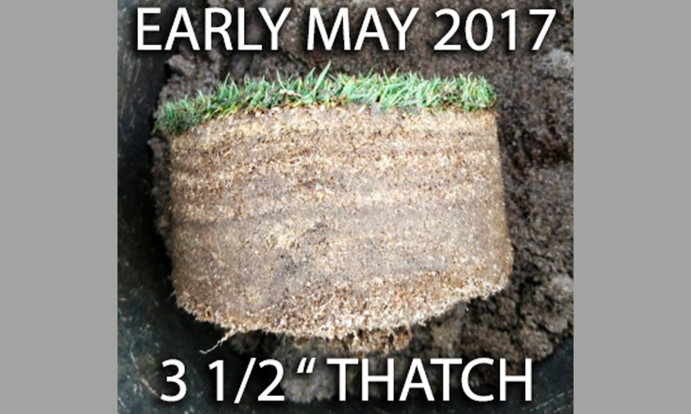 Inches of Thatch? It’s Time for a De-Thatcher Rescue!