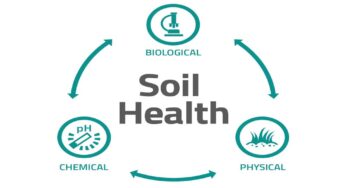 How Healthy is Your Turf?