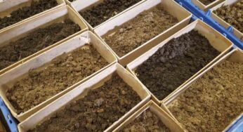 AgSource: Your Turf Testing Partner for 60 years