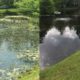 Diversified Waterscapes Before and After