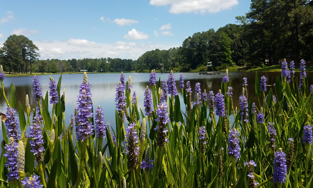 The Importance of Understanding your Watershed
