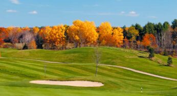 Managing Your Course Heading Into Fall
