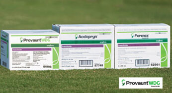 Syngenta Introduces Provaunt WDG Insecticide With Enhanced Mixing For Turf Pest Control
