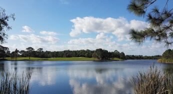 The Future Is Here: A Technological Break-Through in Sustainable Lake & Pond Management