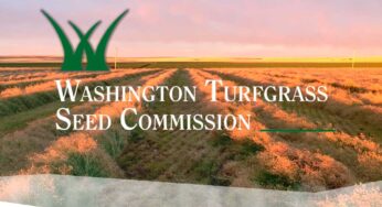 Washington Turfgrass Seed Commission Launches New Website