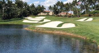 Bioengineered Living Shorelines the Newest Erosion Control Solution