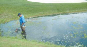Taking an Offensive Position in Your Lake Maintenance Game