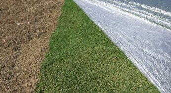 The Magic of Evergreen Turf Covers