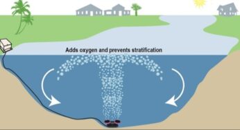 Nanobubbles vs. Fountains vs. Submersed Aeration