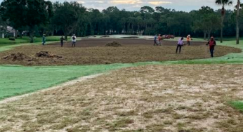 The Man Behind The Meadows Renovation