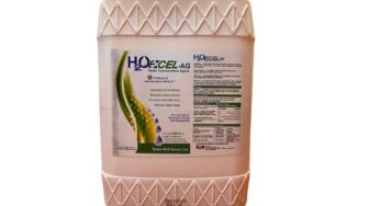 Brookside Agra New 5-gallon Container for Natural Water Conservation Agent H2OExcel™