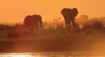 Golfing in Africa – Making the Rounds: Part 7