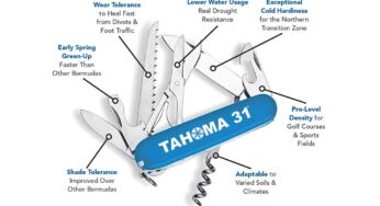 Sod Production Services Launches All New Tahoma31.com Website