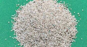 LebanonTurf Launches Country Club IV Greens Grade Products