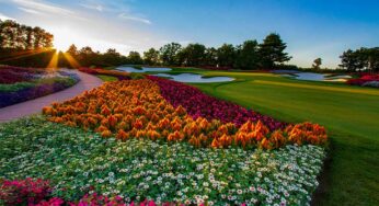 Sentry Insurance Offers Commercial Insurance to Golf Courses