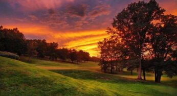 A Golf Information System – Saves Client Time and Money