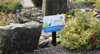 <strong>Audubon International Adds Signature Sanctuary Platinum Level</strong>