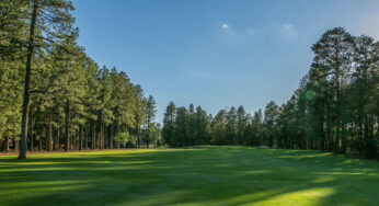 Harold Mitchell Named Superintendent At Pinetop Country Club