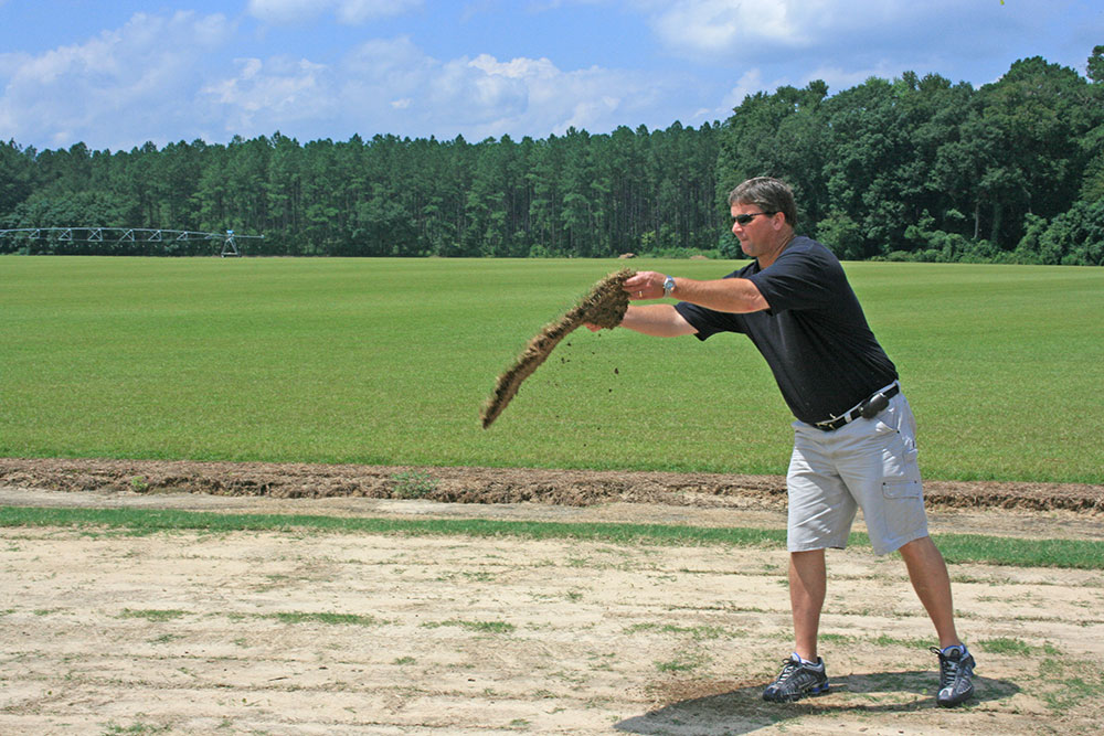Gary Youmans laying a piece of Celebration® Bermudagrass at Green Acres Turf.