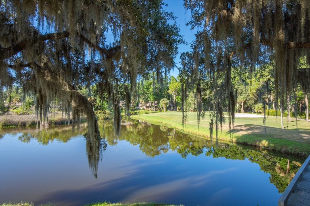 Moss Creek Golf Club