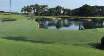 The 2024 PGA TOUR’s Swing on Celebration® Bermudagrass