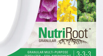 Introducing NutriRoot Granular: Revolutionizing Plant Healthcare through Innovative Technology