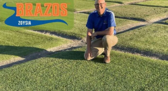 Brazos™ Zoysiagrass Makes a Splash in 2024