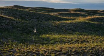 Coore & Crenshaw Begin Construction on First Golf Course at Rodeo Dunes