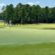 Mach 1 ultradwarf Bermudagrass on a green at Old Chatham Golf Club in Durham, North Carolina. Modern Turf photo